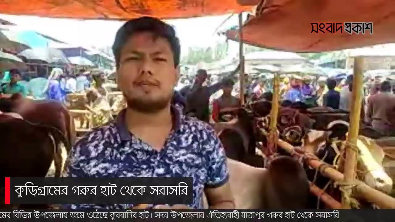 কুড়িগ্রামের সদর উপজেলার ঐতিহ্যবাহী যাত্রাপুর গরুর হাট থেকে সরাসরি