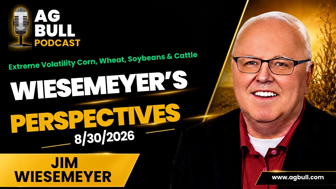 Wiesemeyer's Perspectives | Extreme Volatility Corn, Wheat, Soybeans & Cattle