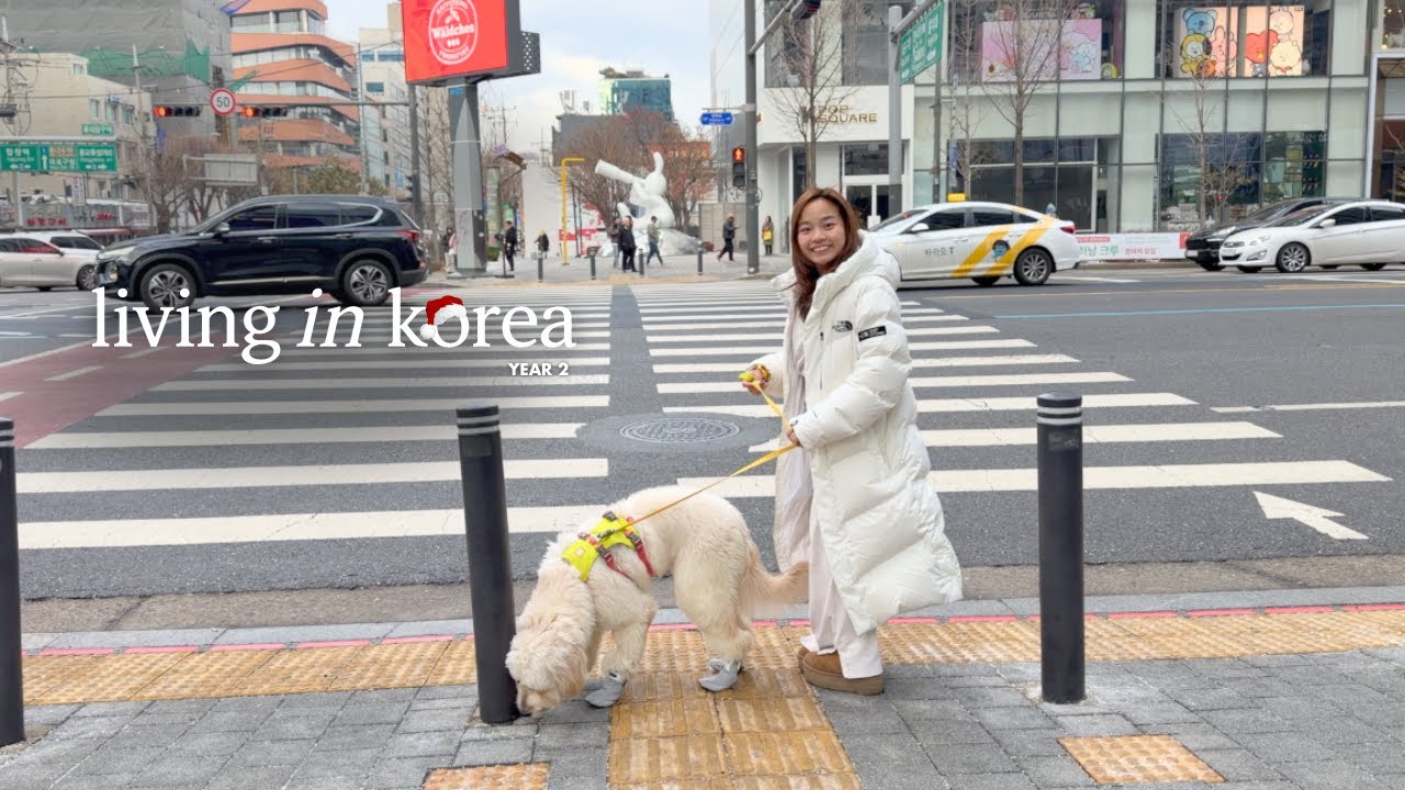 Vlogmas #5 | breaking down bec of long work week, bringing my dog to my fave cafe in 🇰🇷