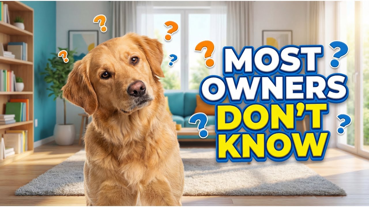 21 Rare Behaviors Dogs ONLY Show When They Truly Love You