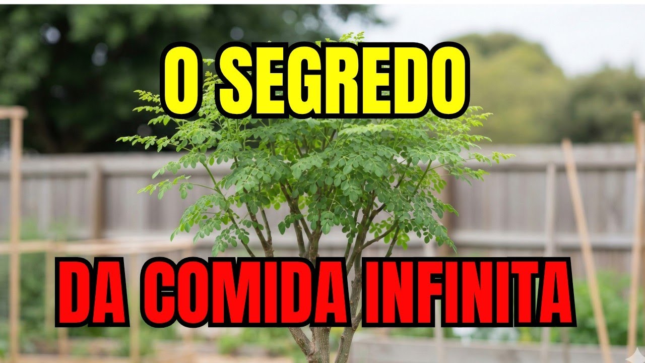 Plante Uma Vez e Economize Até R$634 por Mês no Mercado