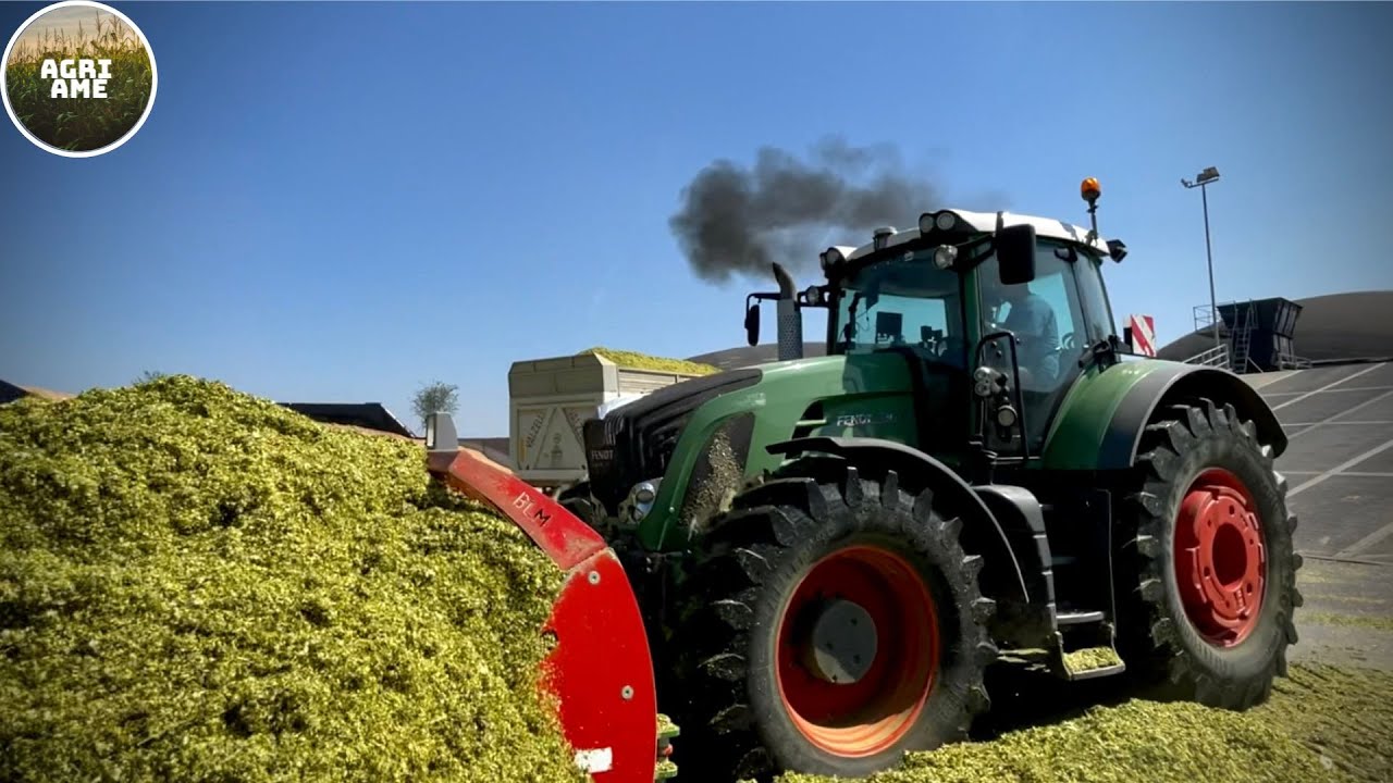 CORN SILAGE 2023 | Claas Jaguar 980 | 3x trailers | Fendt 936 & 939 | Agricorte & Az. Agr. Vareschi
