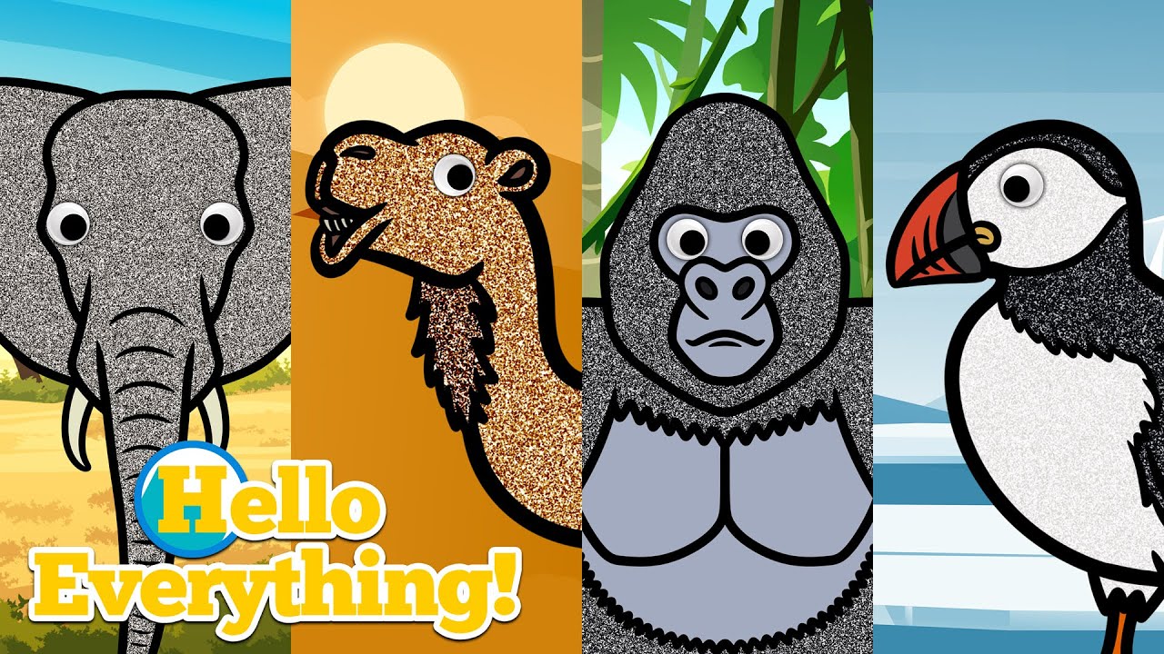 Where Do You Live? | Learn Animal Habitats with Animal Videos | Safari, Rainforest, Polar, Desert