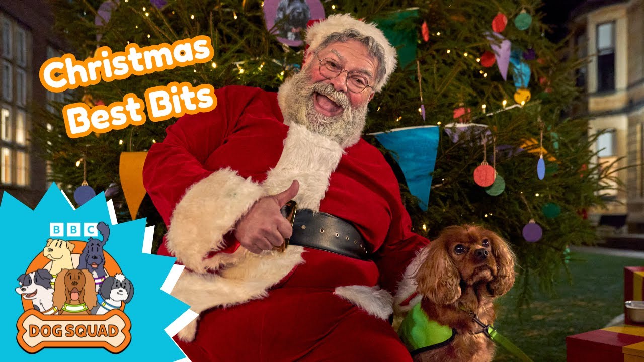 🎄☃️ Dog Squad Christmas | BEST BITS | Dog Squad | CBeebies