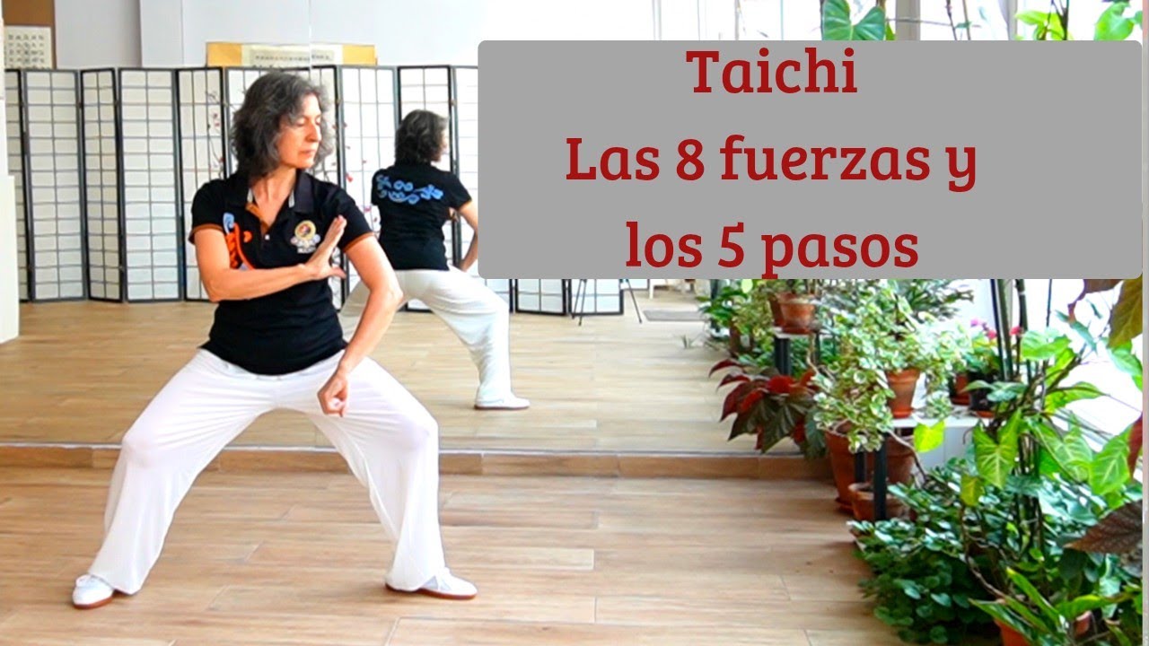⚫Taichi 8 TÉCNICAS (Fuerzas) y 5 PASOS ☯️BA FA WU BU EXPLICADO paso a paso