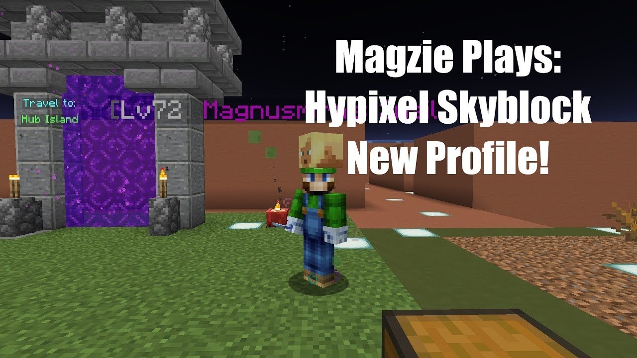 Patch Notes 0.24.1:  Swappable Pet Items:   Magzie Plays New Profile: Hypixel Skyblock!