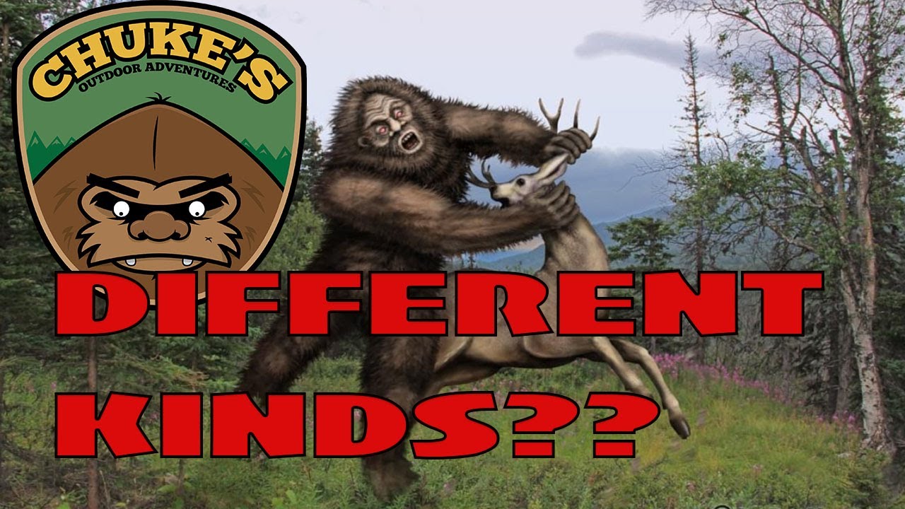 Are there different species of Bigfoot?