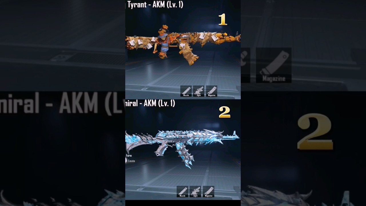 PUBG MOBILE BEST AKM SKIN