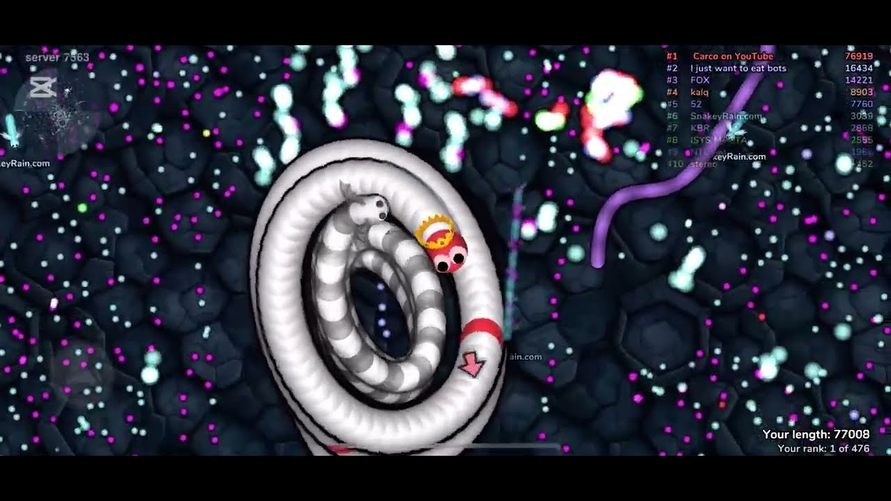 Slither.io INSANE GAMEPLAY - SNAKEYRAIN INSANE SCORE (81.000)