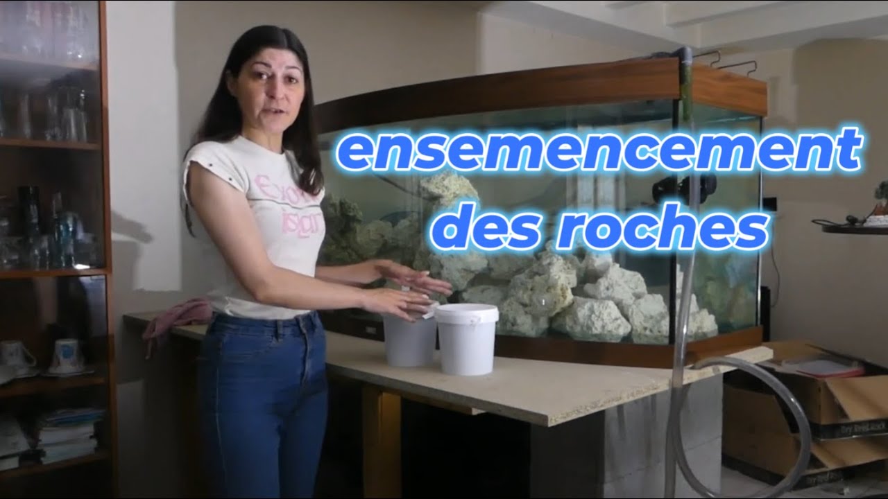 ON FAIT L' ENSEMENCEMENT DES ROCHES !!