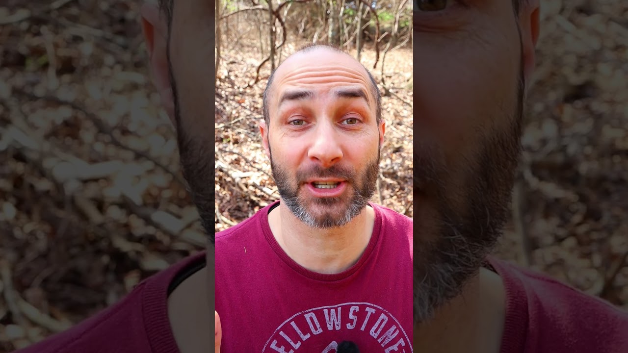 Why Zoom Flashlights Waste Light