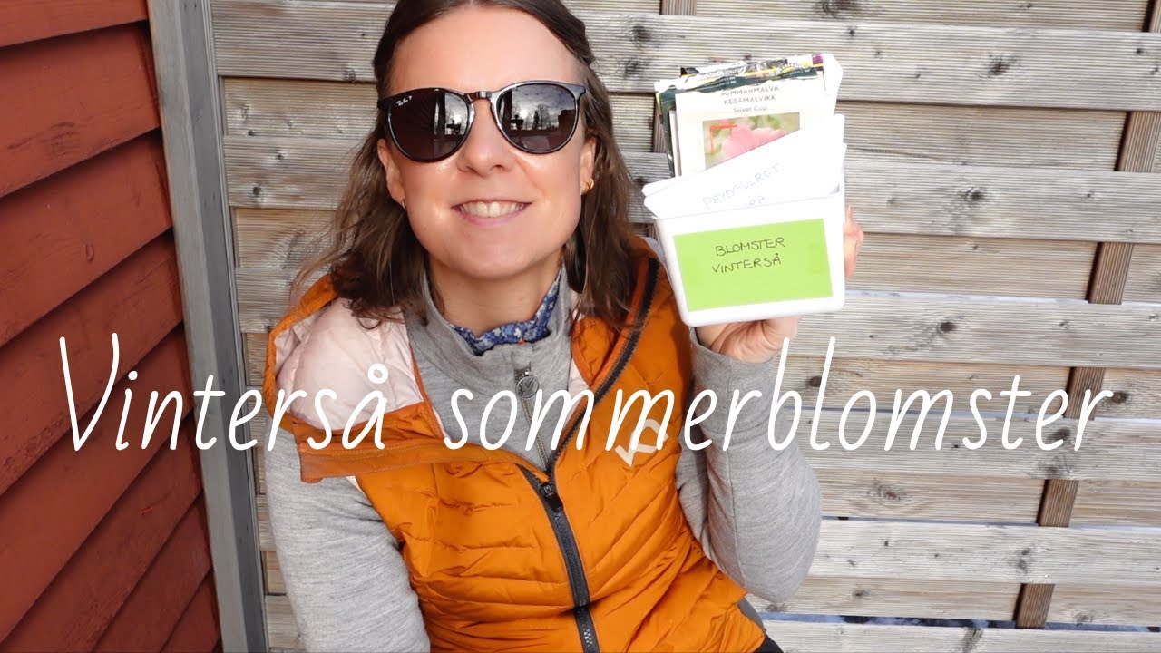 Vinterså sommerblomster 2023
