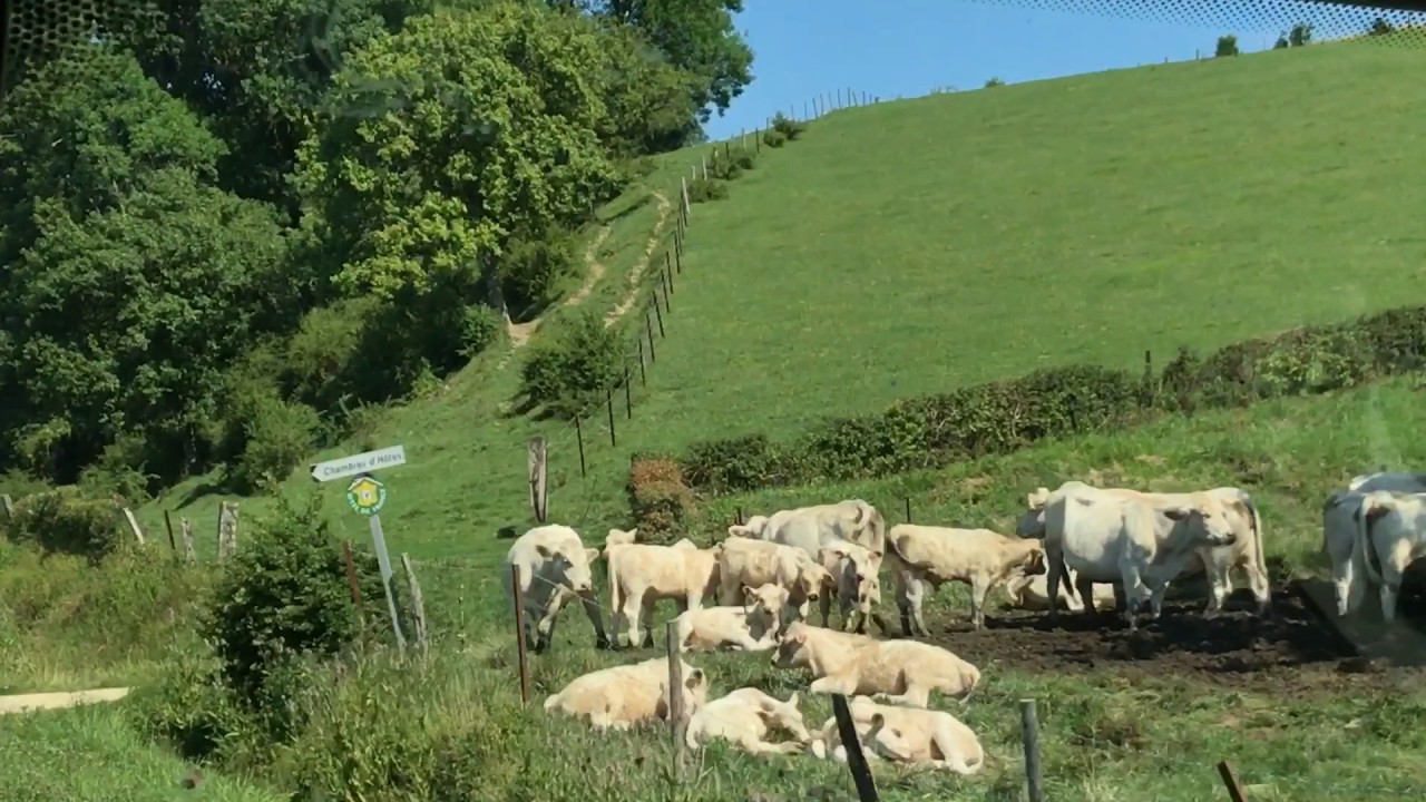 Reis langs de Moesel en door Noord-Frankrijk - 2017