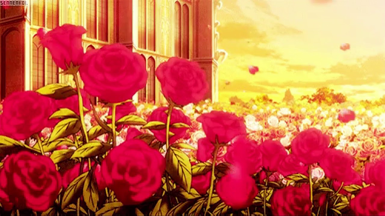 Rose Petal - Lofi Hip Hop Mix