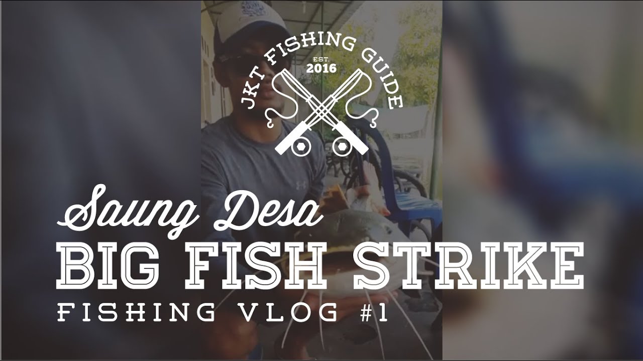 Saung Desa Big Fish Strike Indonesia - Fishing Vlog: #1