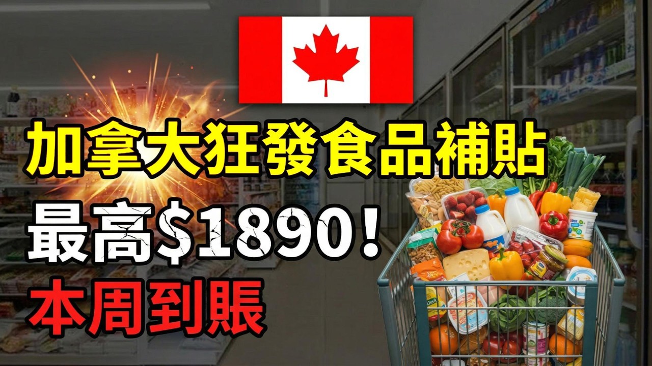 加拿大狂撒$86億食品補貼！本周自動到帳、每家最高拿$1890；美國放話封堵！中國電動車經加拿大也進不了美國；加拿大知名生鮮配送全國召回：10款產品緊急下架（《港灣播報》20260331-1 JZX）