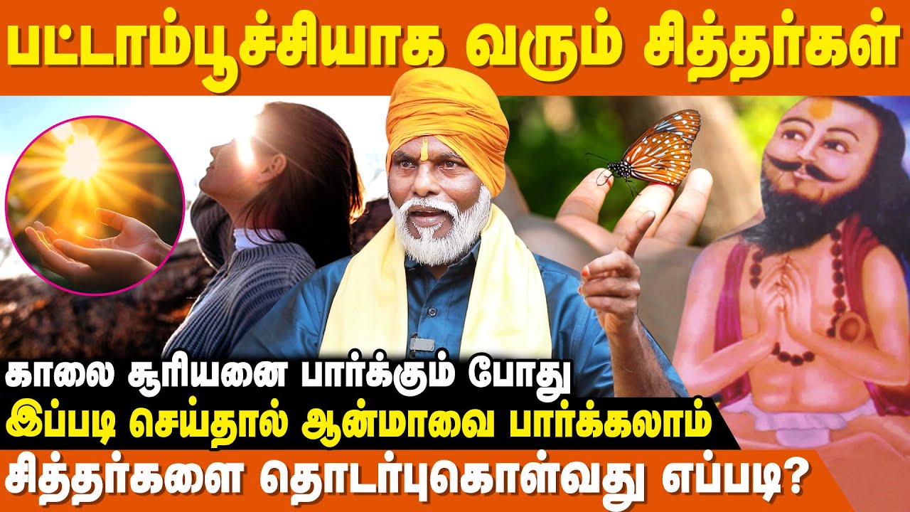 கண் பார்வையை வர வைத்த கோரக்கர்- சித்தயோகி பேரம்பலவாணன் | Siddhargal Thodarbu | IBC Bakthi