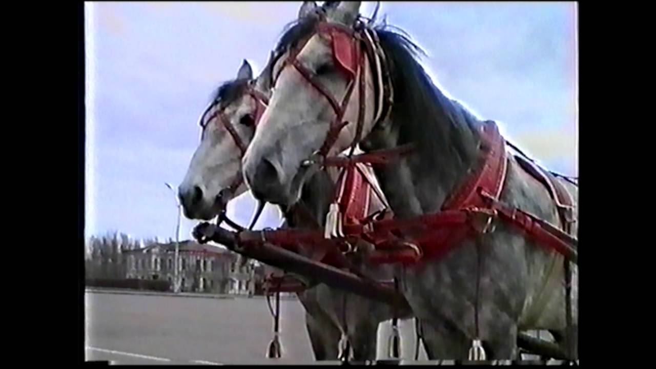 Петрозаводск 1994 год