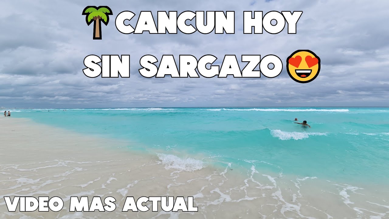 CANCUN HOY🔴PLAYA DELFINES SIN SARGAZO 28 ENERO 2026