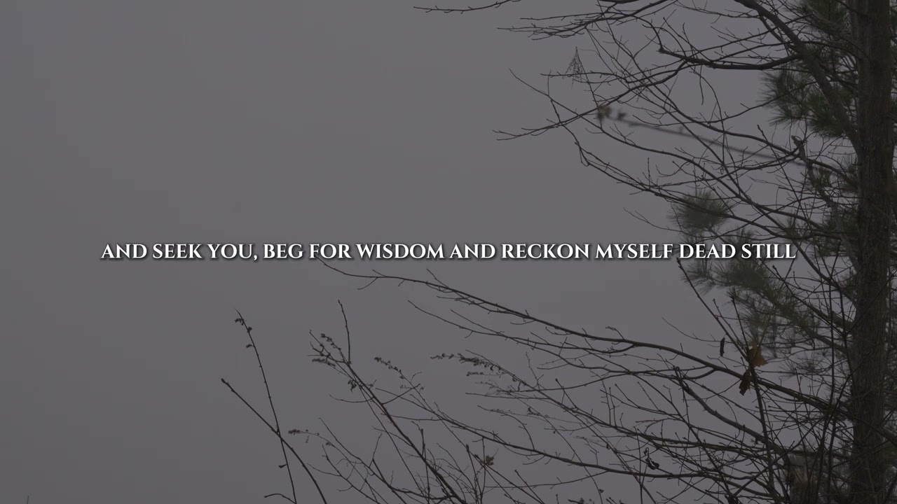 R.V.I.V.I. - I need you Christ (Lyric Video)