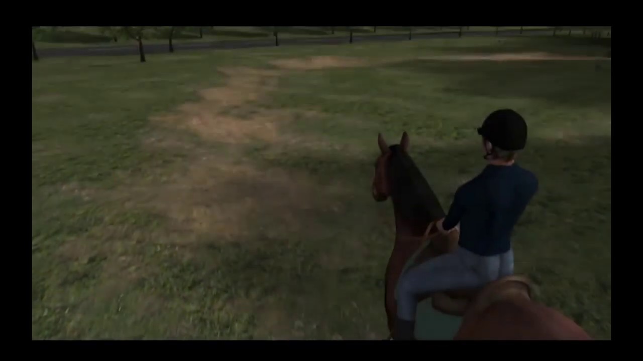 Horse Vision: Simulation shows a horse-eye view