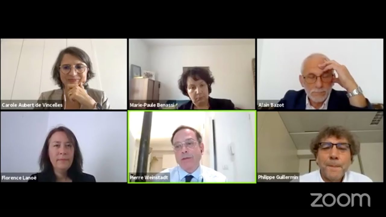 Extrait 4/7 - Table ronde sur  Visites non sollicitées - Colloque inaugural Webinaire