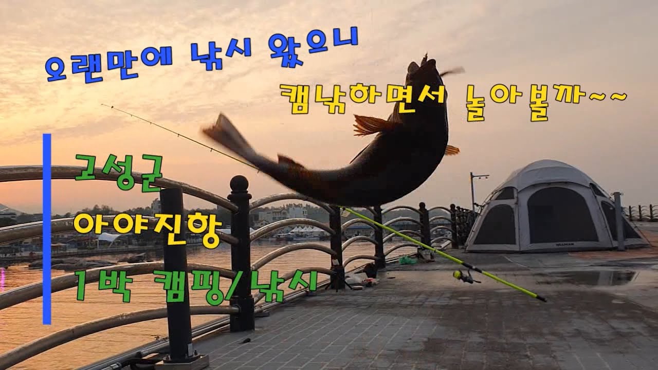 수환도전-고성 아야진항 / 캠낚하면서 사이즈 좋은 노래미 3마리를 잡고, 분명 4짜 이상의 감성돔 입질도 받았습니다. ^^