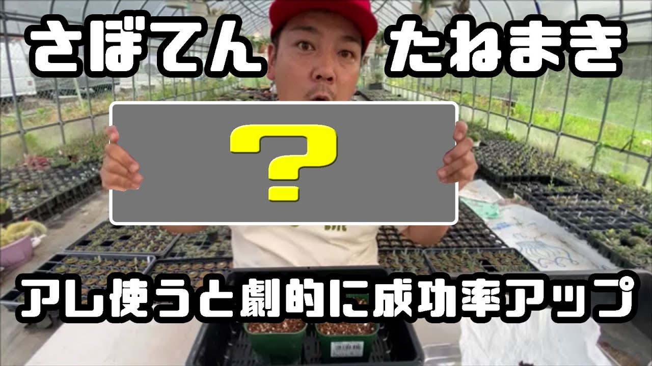 誰でもかんたん！サボテンのタネを蒔こう！