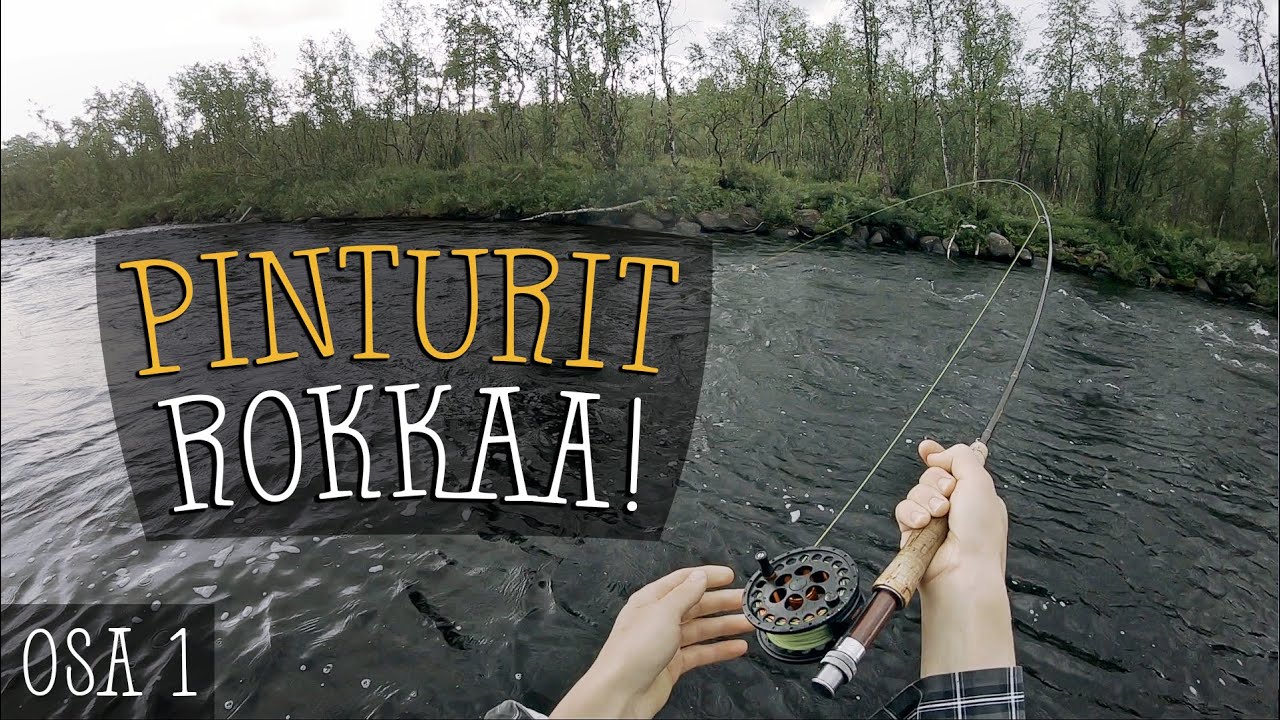 JOKI TÄYNNÄ HARJUSTA | Harjuksen perhokalastus | Kalastus Lapissa