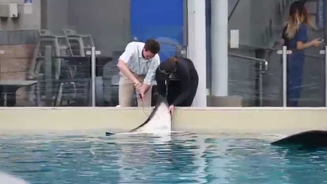 Kalia & Nakai Blood Samples