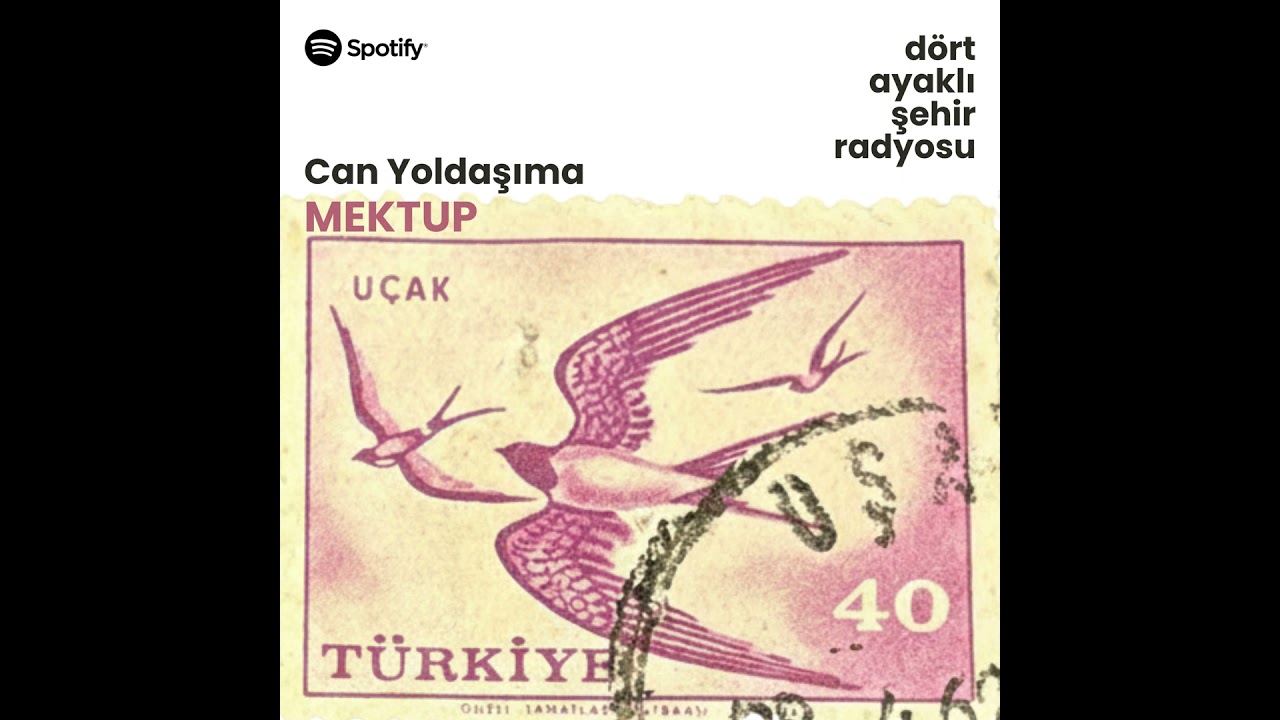 Can Yoldaşıma Mektup | Papatya Tıraşın’ın Gelgel’e Mektubu