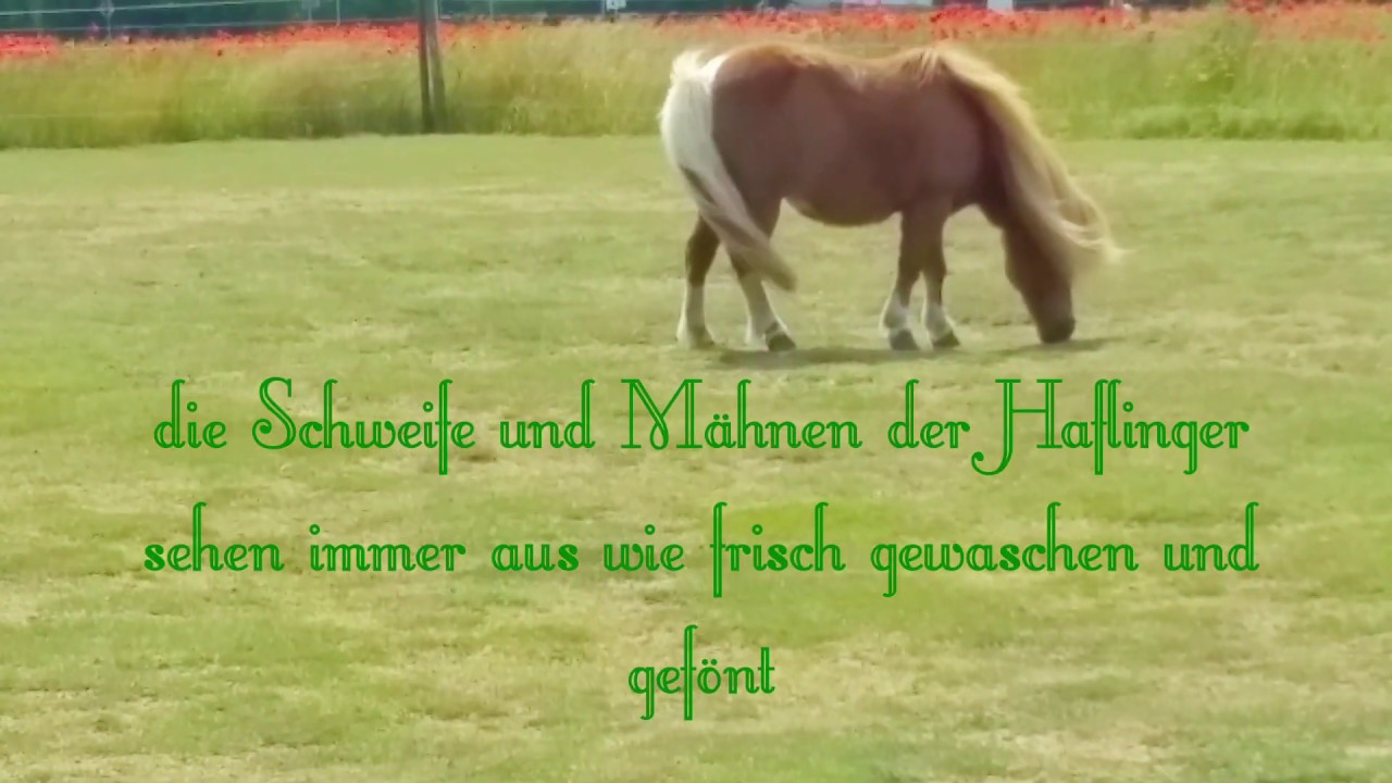 Vom Schoritzer Wiek bis zur  Insel  Ummanz