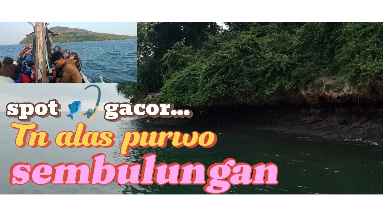 spoot fhising pinggiran tebing sembulungan muncar!!jangan takut boncos