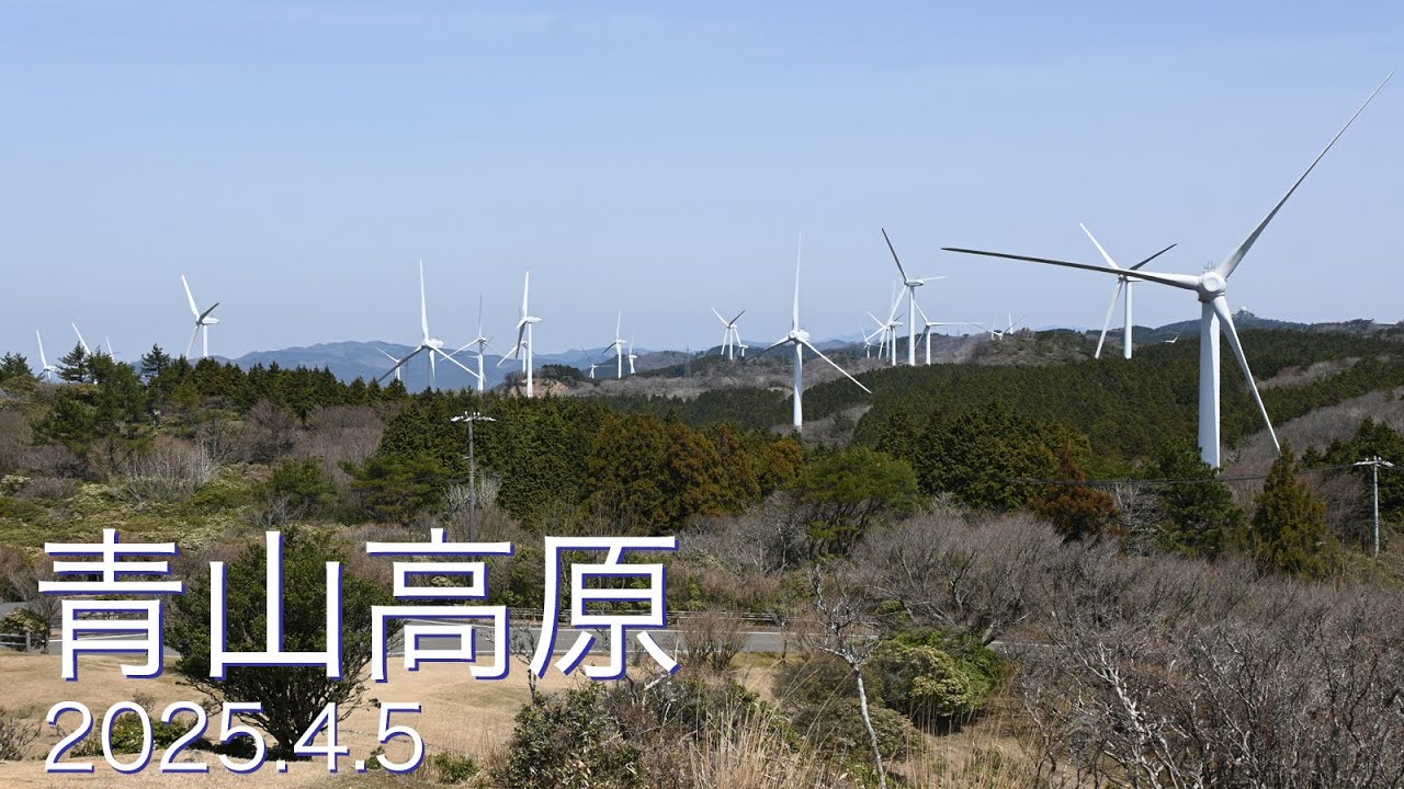 青山高原（三重） -2025.4.5-