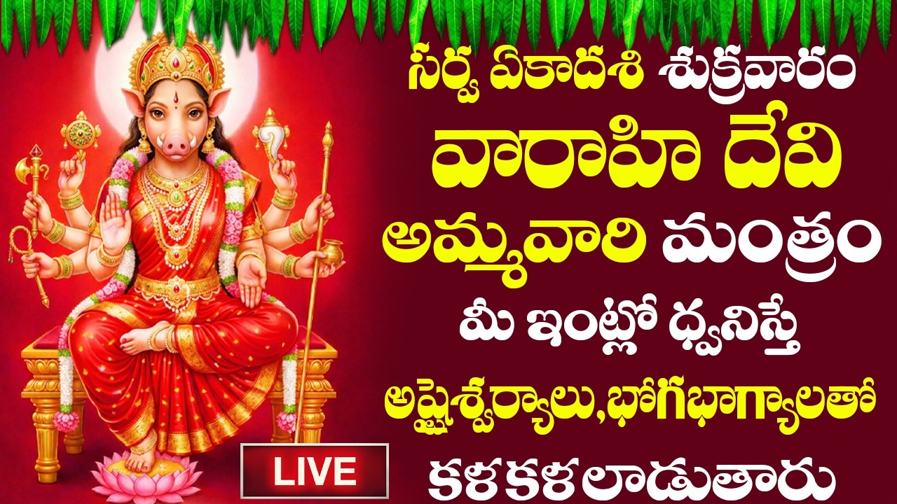 LIVE | శ్రీ వారాహిదేవి మంత్రం సర్వఏకాదశి శుక్రవారంరోజు వింటే సకలసిరిసంపదలు మీ సొంతమౌతాయి#varahidevi