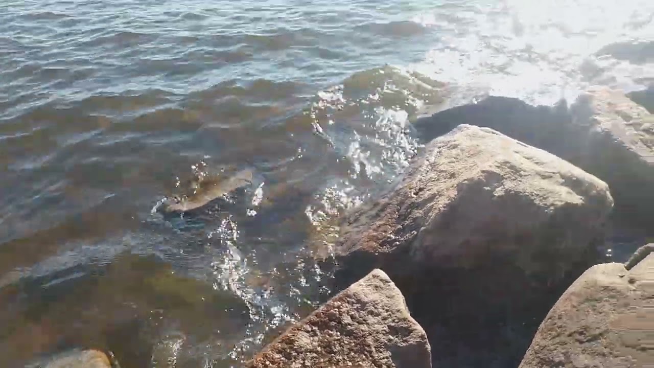 1 minute ASMR By The Sea