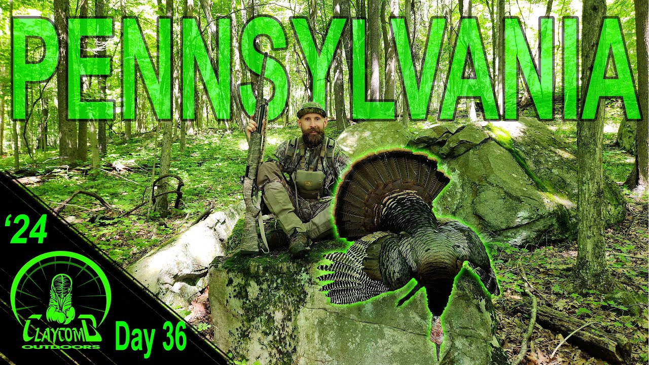 The most REWARDING hunt of my season - MOUNTAIN GOBBLER comes in LOOKING!