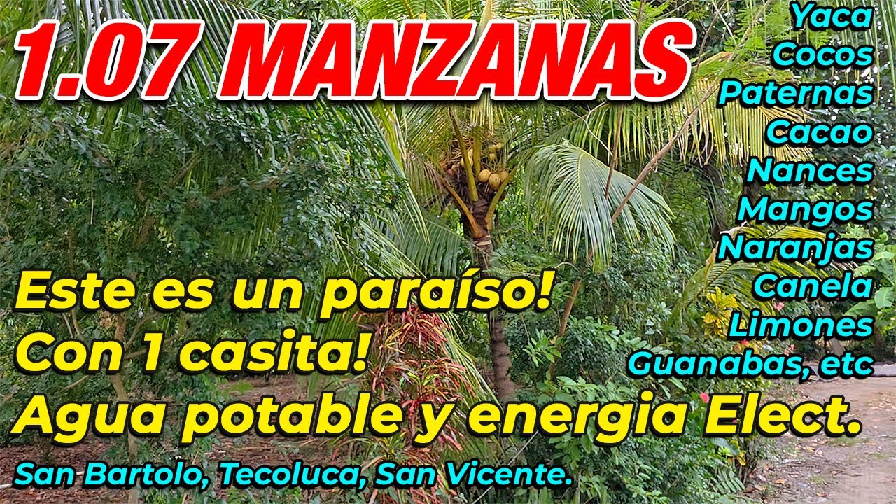 #134 ⛔️ Vendido 🌳 Hermosa Finca 1.07 Manzanas · Árboles Frutales 🍊🍃 Casa · Agua · Luz · $75,000
