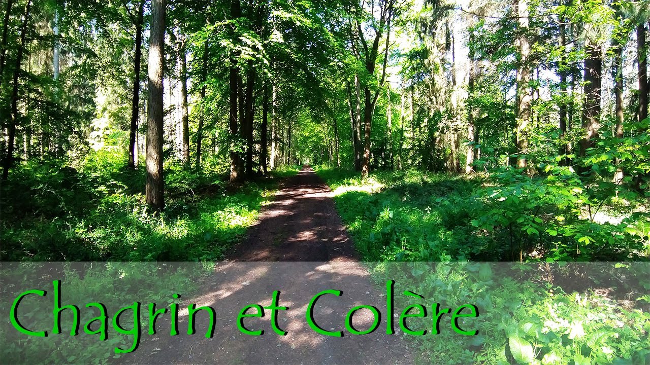 Musique Douce 432 Hz - Chagrin et Colère - Meditation & Relaxation - Study - Sleep