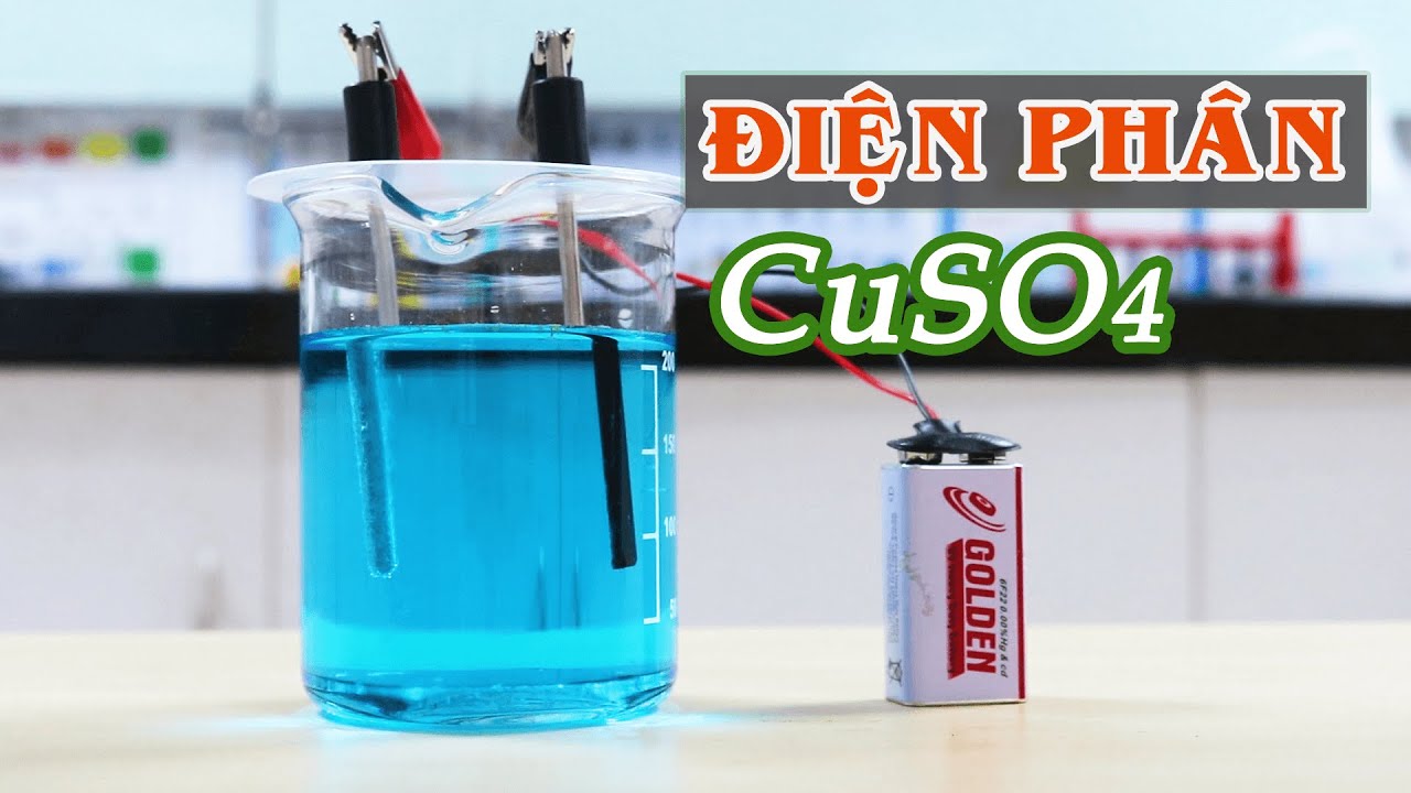 Điện phân dd CuSO4 với các điện cực khác nhau 📚 Mr. Skeleton Thí Nghiệm