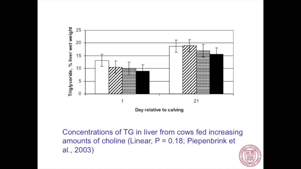 What Do We Know About Feeding Choline and Methionine to Transition Cows? &ndash; Tom Overton, PhD.