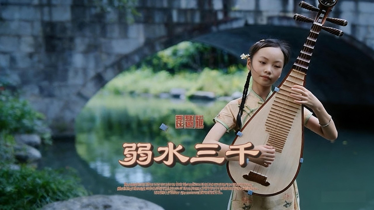 琵琶演奏Pipa playing#pipavav #memories #string