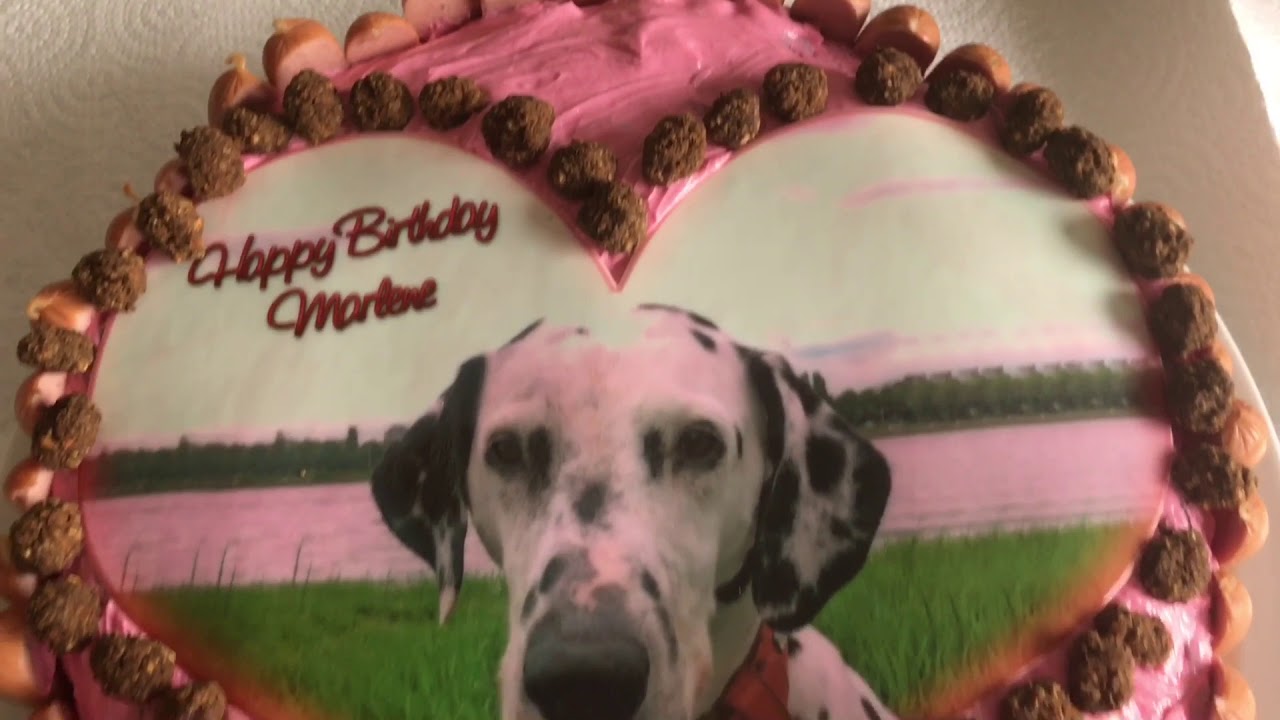 Abschied nehmen von unserem Hundekind Marlene - dem schönsten Dalmatiner unserer Welt