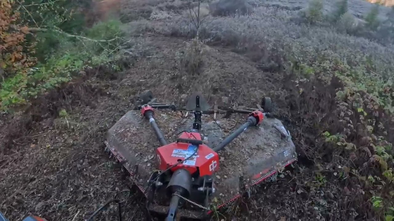 Tackling 16 Acres of Overgrowth! Part 2