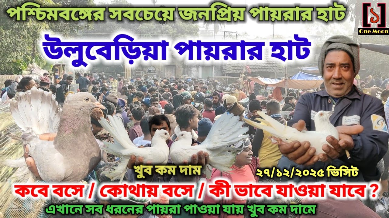 উলুবেড়িয়া পায়রার হাট | Cheapest Pet Market In Kolkata | Uluberia Pigeon Market 27/12/2025 Visit 