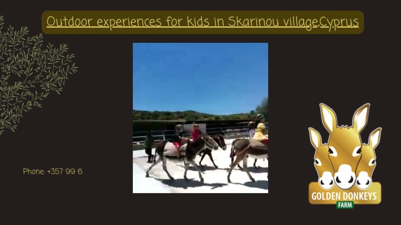 Outdoor kids activities in Cyprus :) - Golden Donkeys farm