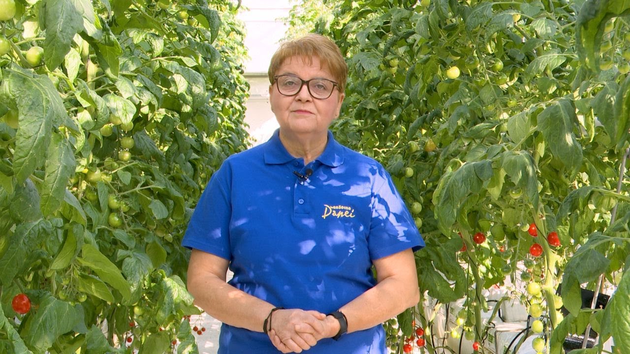 În Grădina Danei. Hibiscus - îngrijire | Proiect de grădină