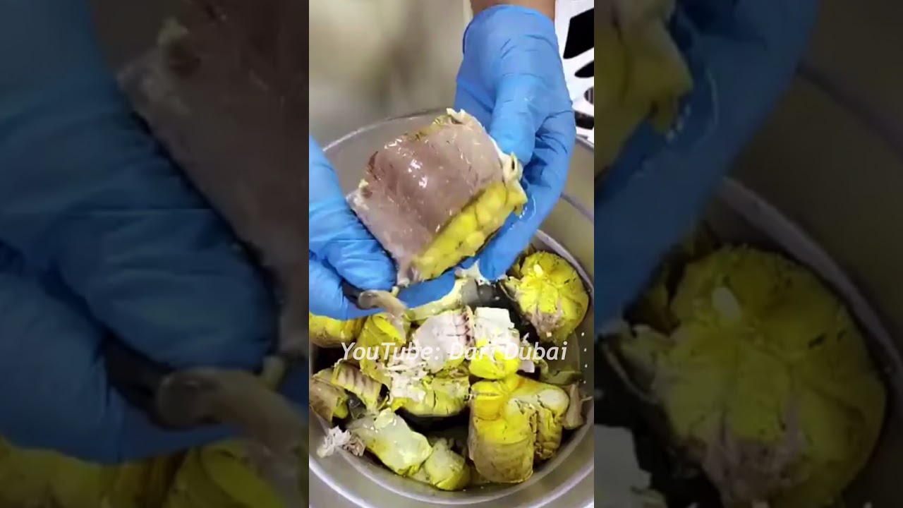 الشيف خالد حرية: جشيد مع العيش بطريقة مبتكرة و سمبوسة جشيد ايضا 🤤