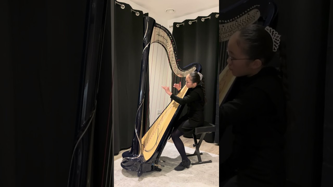 Passacaille by Georg Friedrich Haendel , performed by Stephanie K.