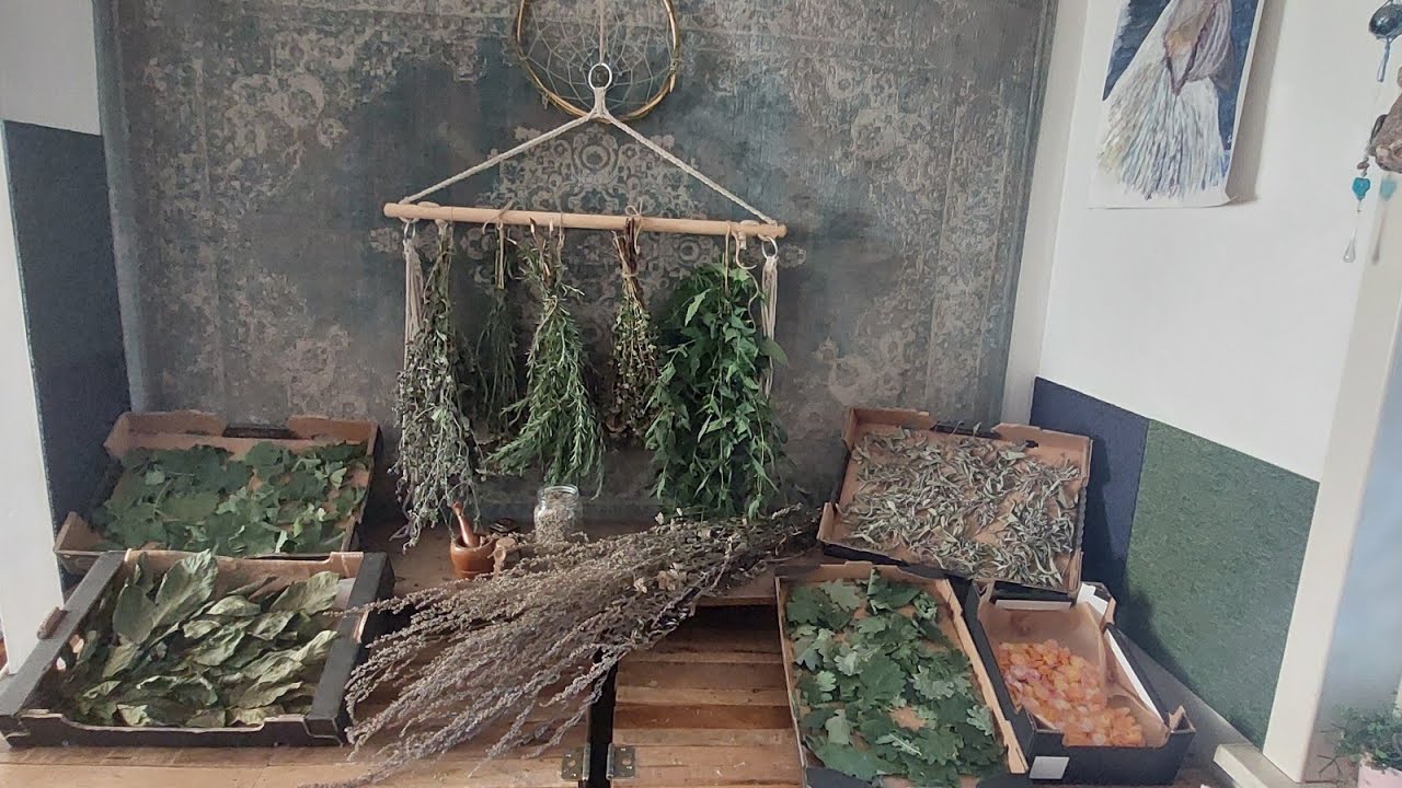 de kruidenheksen laten je zien hoe je wilde planten en kruiden kan drogen